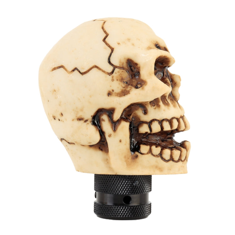 Universal Car Skull Shape Shifter Manual Automatic Gear Shift Knob - Shift Knob by PMC Jewellery | Online Shopping South Africa | PMC Jewellery | Buy Now Pay Later Mobicred