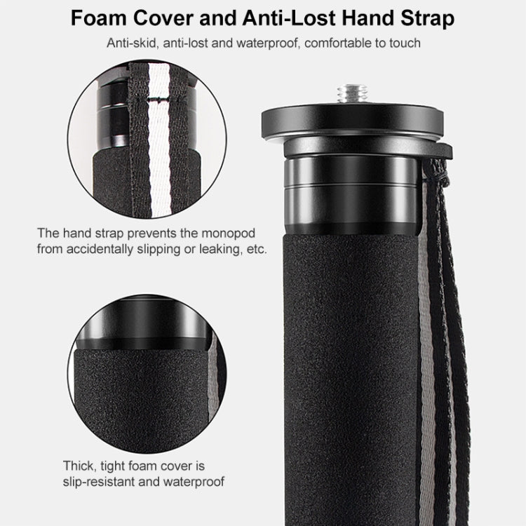 BEXIN P406C Camera Carbon Fiber Monopod Travel Live Selfie Bracket Holder - Monopods by BEXIN | Online Shopping South Africa | PMC TechLife | Buy Now Pay Later Mobicred