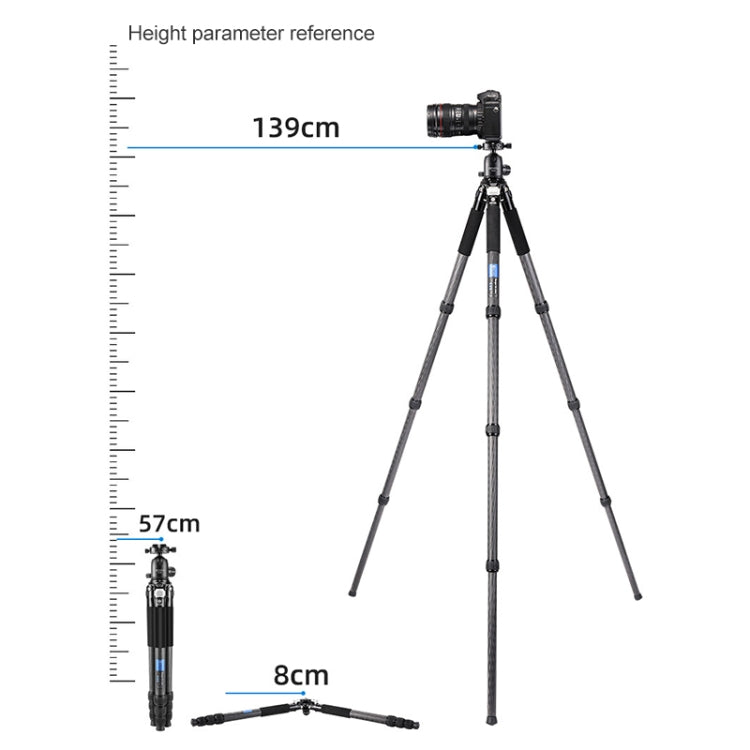 BEXIN RC334 Portable Collapsible Carbon Fiber Camera Tripod with K44 Panoramic BallHead - free shipping - PMC TechLife - Order now!