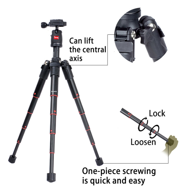 BEXIN MS03 Portable Aluminum Mini Travel Tripods for DSLR Camera Smart Mobile Phone - free shipping - PMC TechLife - Order now!