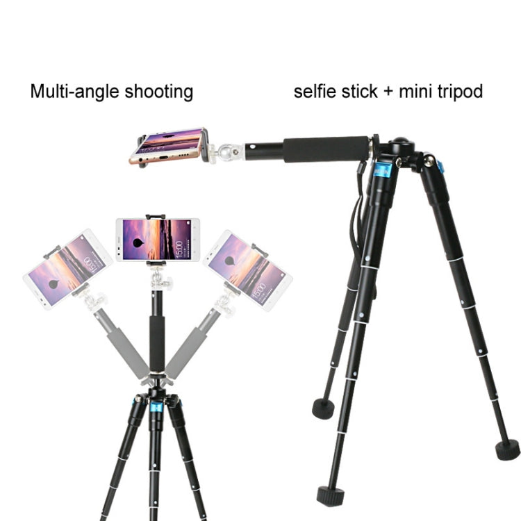 BEXIN MS15 Multifunctional Desktop Mini Camera Tripods for Camera Self-Timer Mobile Phone - free shipping - PMC TechLife - Order now!