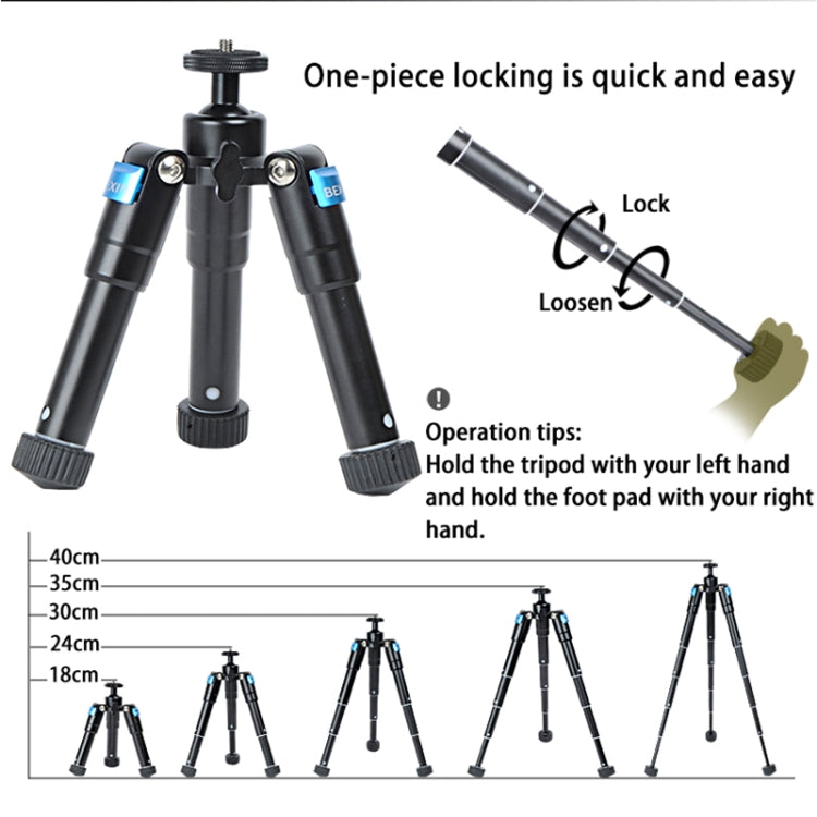 BEXIN MS15 Multifunctional Desktop Mini Camera Tripods for Camera Self-Timer Mobile Phone - free shipping - PMC TechLife - Order now!