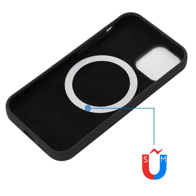 For iPhone 15 Pro Shockproof Silicone Magsafe Phone Case(Black) - iPhone 15 Pro Cases by PMC Jewellery | Online Shopping South Africa | PMC Jewellery