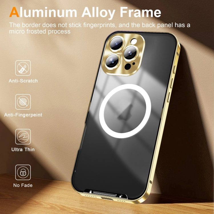 For iPhone 16 Pro Max Frosted Metal Phone Case(Gold) - iPhone 16 Pro Max Cases by PMC Jewellery | Online Shopping South Africa | PMC Jewellery | Buy Now Pay Later Mobicred