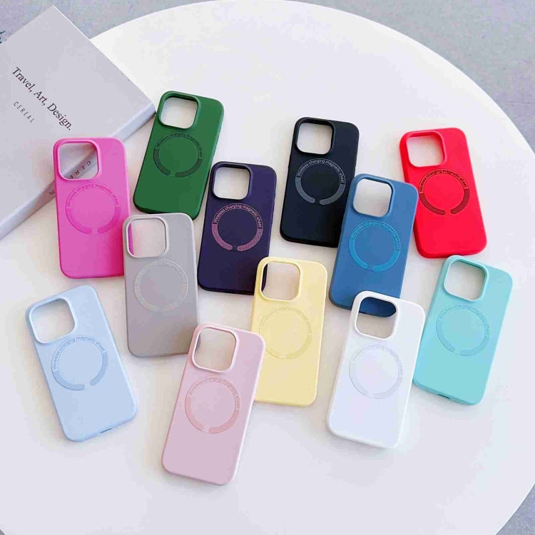 For iPhone 14 Pro MagSafe Magnetic Liquid Silicone Phone Case(Grey) - iPhone 14 Pro Cases by PMC TechLife | Online Shopping South Africa | PMC TechLife