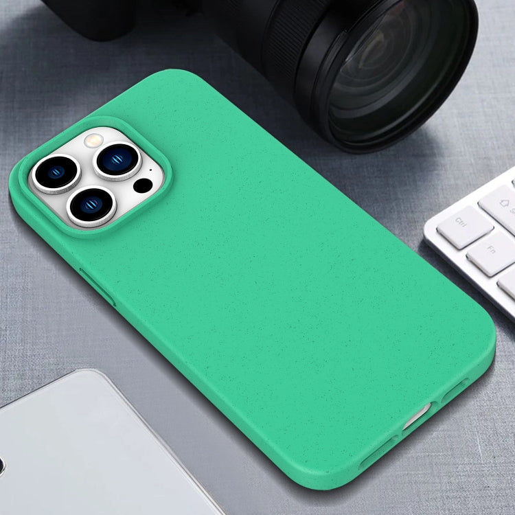 For iPhone 16 Wheat Straw TPU Phone Case(Green) - iPhone 16 Cases by PMC TechLife | Online Shopping South Africa | PMC TechLife | Buy Now Pay Later Mobicred