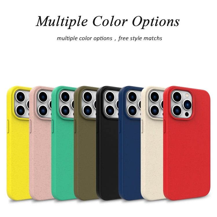 For iPhone 16 Wheat Straw TPU Phone Case(Black) - iPhone 16 Cases by PMC TechLife | Online Shopping South Africa | PMC TechLife | Buy Now Pay Later Mobicred