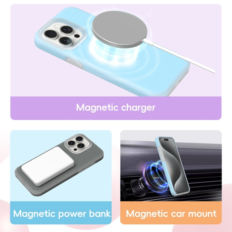 For iPhone 16 Plus Jelly Liquid Silicone MagSafe Magnetic Phone Case(Berry Powder) - iPhone 16 Plus Cases by PMC TechLife | Online Shopping South Africa | PMC TechLife | Buy Now Pay Later Mobicred