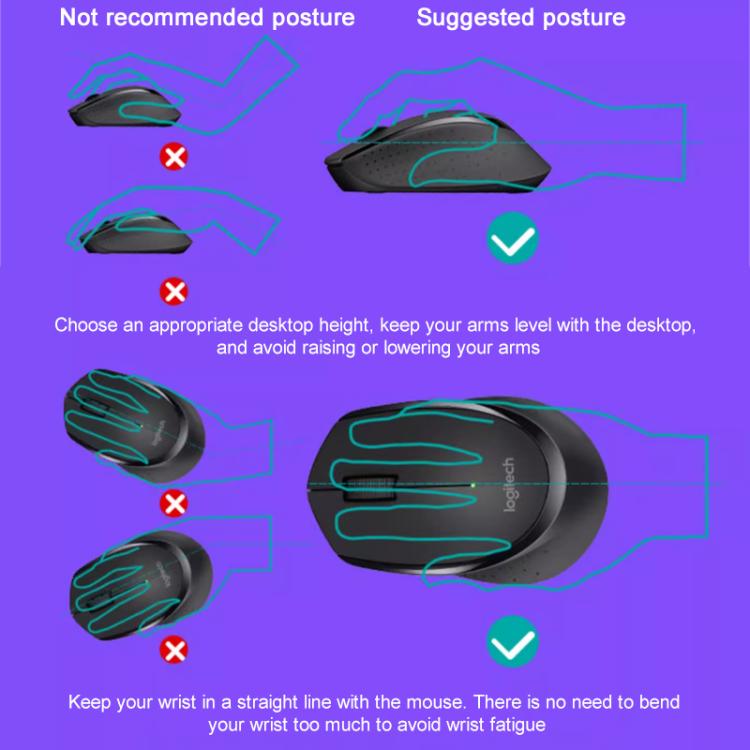 EDA0084587_B6.jpg@9be96258011ec3cde4a25675beed12e6