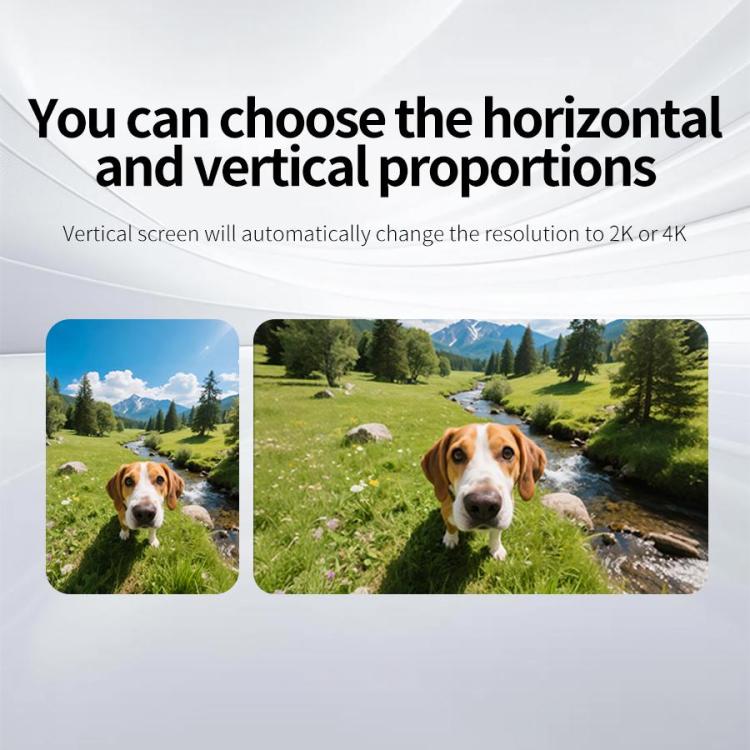 EDA008467202A_10.jpg@910774d0720c6de2d958b8e828e95e08