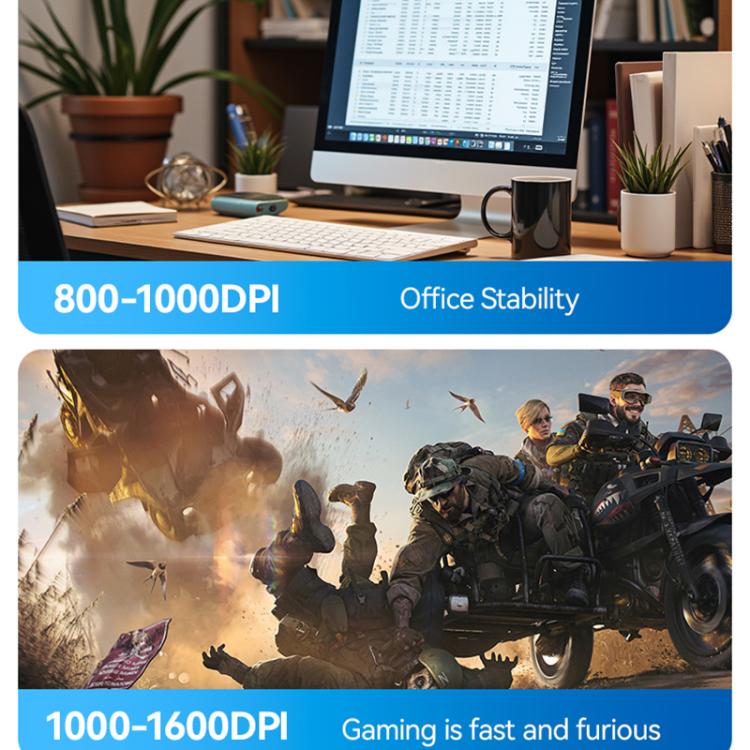 EDA0084960_B6.jpg@744b4842677afc06bd8e39c84dddacaf