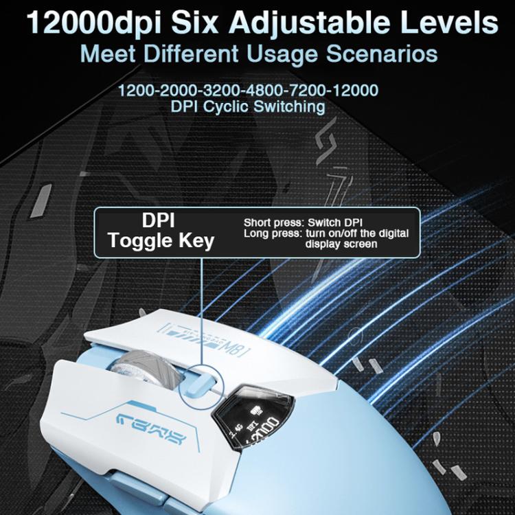 EDA0089679_B8.jpg@9c5ab8c2f7286e803ddeffca0f286ff7