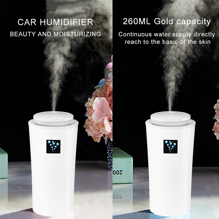 Small-3 2W Humidifier Moisture Meter Moisturizing Instrument with LED Night Light, Water Tank Capacity: 260ml(White) - Air Purifiers & Accessories by PMC TechLife | Online Shopping South Africa | PMC TechLife | Buy Now Pay Later Mobicred