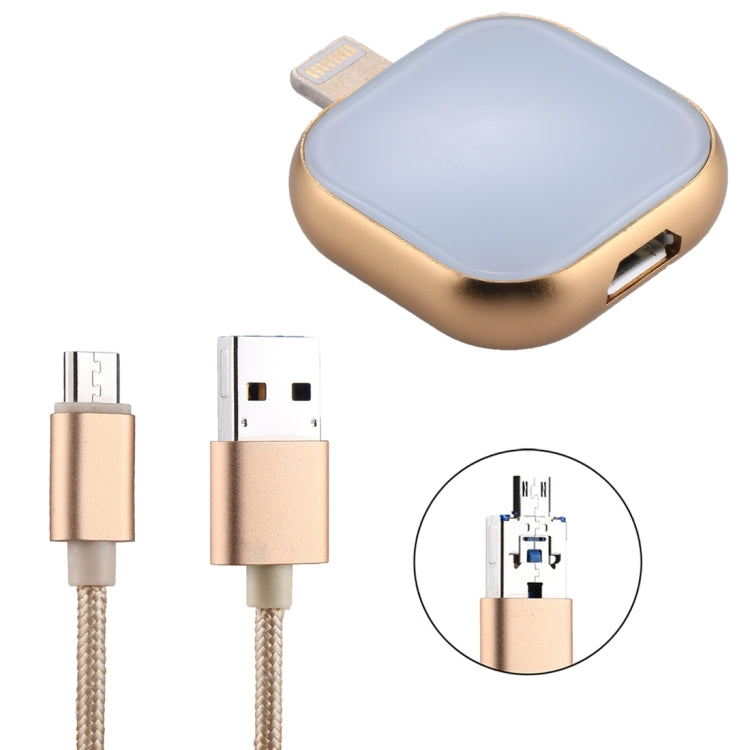 RQW-18S 8 Pin 128GB Multi-functional Flash Disk Drive with USB / Micro USB to Micro USB Cable(Gold) - U Disk & Card Reader by PMC Jewellery | Online Shopping South Africa | PMC Jewellery | Buy Now Pay Later Mobicred