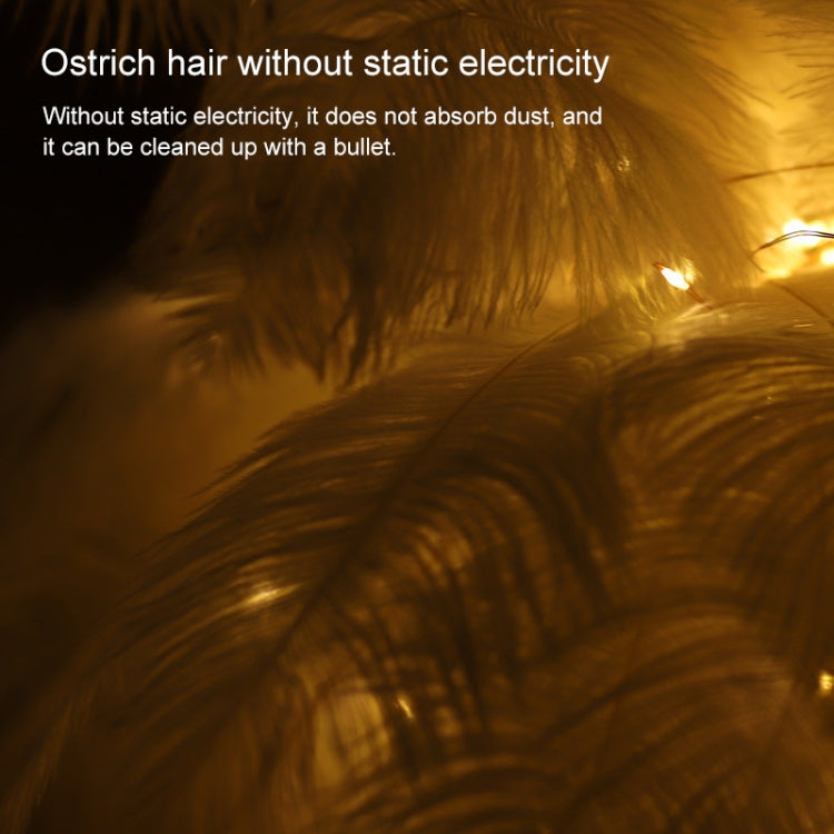 Creative Bedroom Feather Table Lamp Night Light Decorative Light (White) - Night Lights by PMc TechLife | Online Shopping South Africa | PMc TechLife | Buy Now Pay Later Mobicred