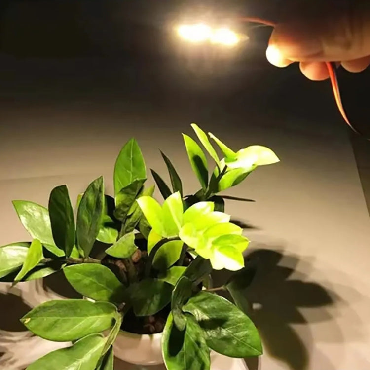 3W 6 LEDs SMD 5730 LED Module Lamp Ceiling Lighting Source, DC 9V Warm White Light - free shipping - PMC TechLife - Order now!