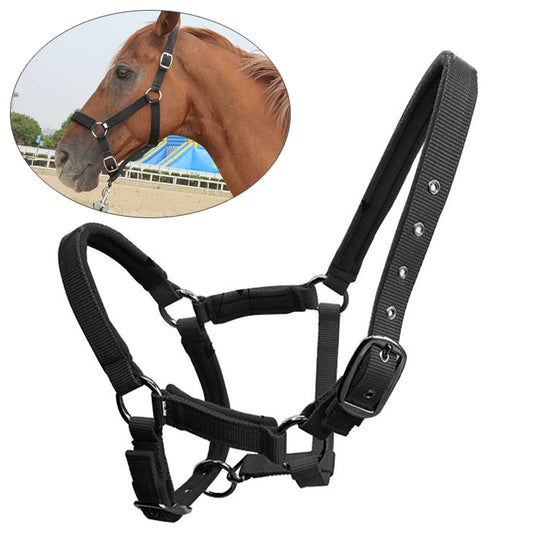 Horse Locator Set Animal Tracking Anti-lost Device GPS Positioning Collar Set - Collars by PMC Jewellery | Online Shopping South Africa | PMC Jewellery | Buy Now Pay Later Mobicred