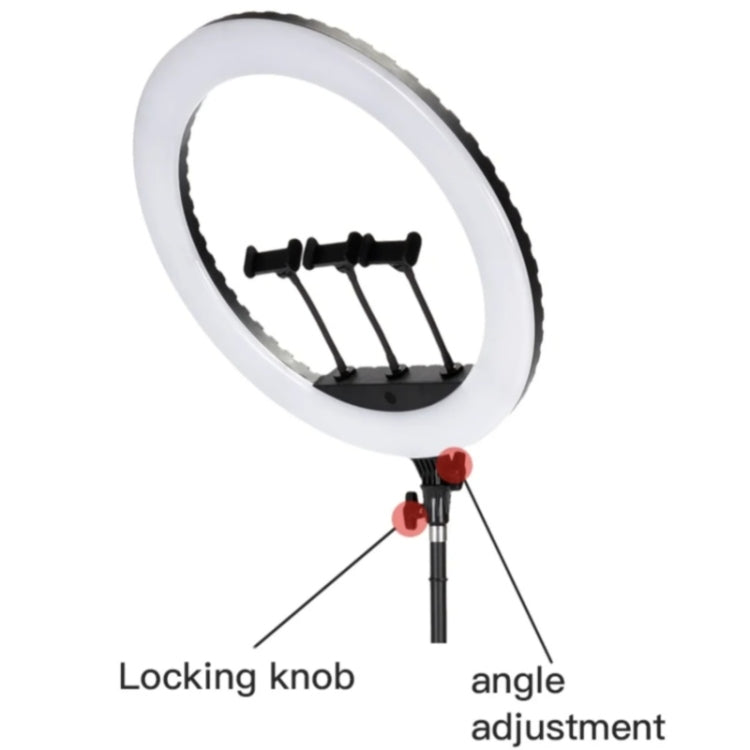 JMARY FM-21R With Remote Control Phone Clip 21-inch Dimmable LED Ring Light(EU Plug) - free shipping - PMC TechLife - Order now!