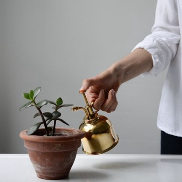 Vintage Brass Gardening Meaty Small Watering Can (Gold) - Watering & Irrigation by PMc TechLife | Online Shopping South Africa | PMc TechLife | Buy Now Pay Later Mobicred