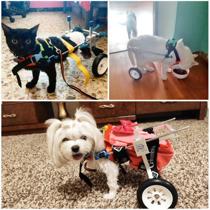 Pet Wheelchair Disabled Dog Old Dog Cat Assisted Walk Car Hind Leg Exercise Car For Dog/Cat Care, Size:XXS - Training Aids by PMC Jewellery | Online Shopping South Africa | PMC Jewellery | Buy Now Pay Later Mobicred