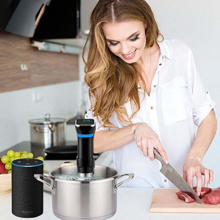 Low Temperature Slow Cooker Thawed Vacuum Steak Machine, Plug Type:UK Plug - Gadgets by PMC Jewellery | Online Shopping South Africa | PMC Jewellery