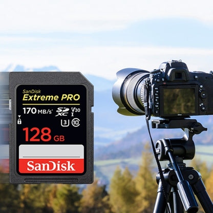 SanDisk Video Camera High Speed Memory Card SD Card, Colour: Black Card, Capacity: 32GB - SD Card by SanDisk | Online Shopping South Africa | PMC Jewellery | Buy Now Pay Later Mobicred