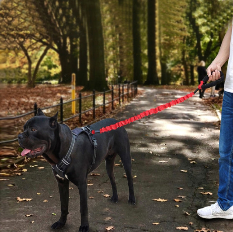 HCPET Dog Traction Rope Pet High-Elastic Explosion-Proof Elastic Rope, Length: 120cm(Black) - free shipping - PMC TechLife - Order now!