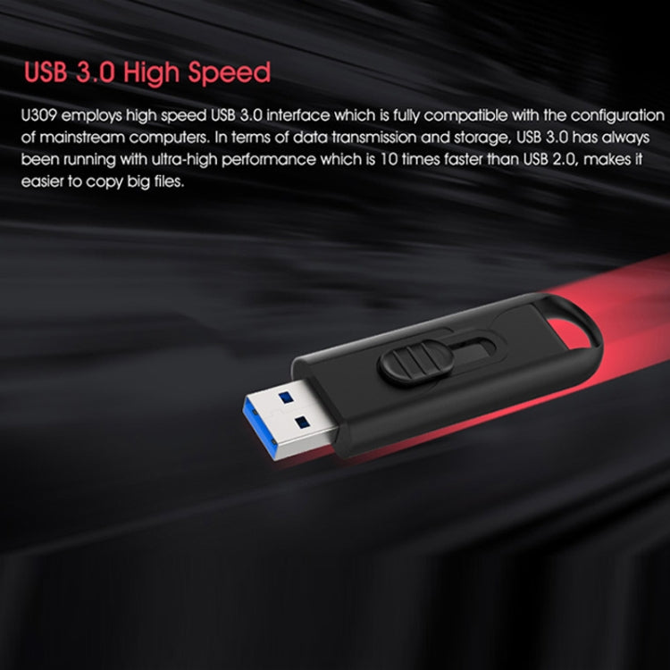 Netac U309 High Speed USB3.0 Push-Pull Encrypted USB Flash Drive, Capacity: 128GB - USB Flash Drives by Netac | Online Shopping South Africa | PMC Jewellery | Buy Now Pay Later Mobicred