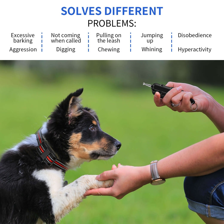 Electronic Dog Trainer Rechargeable Pet Remote Control Bark Stopper, Specification: 1 Drag 1 Red - free shipping - PMC TechLife - Order now!