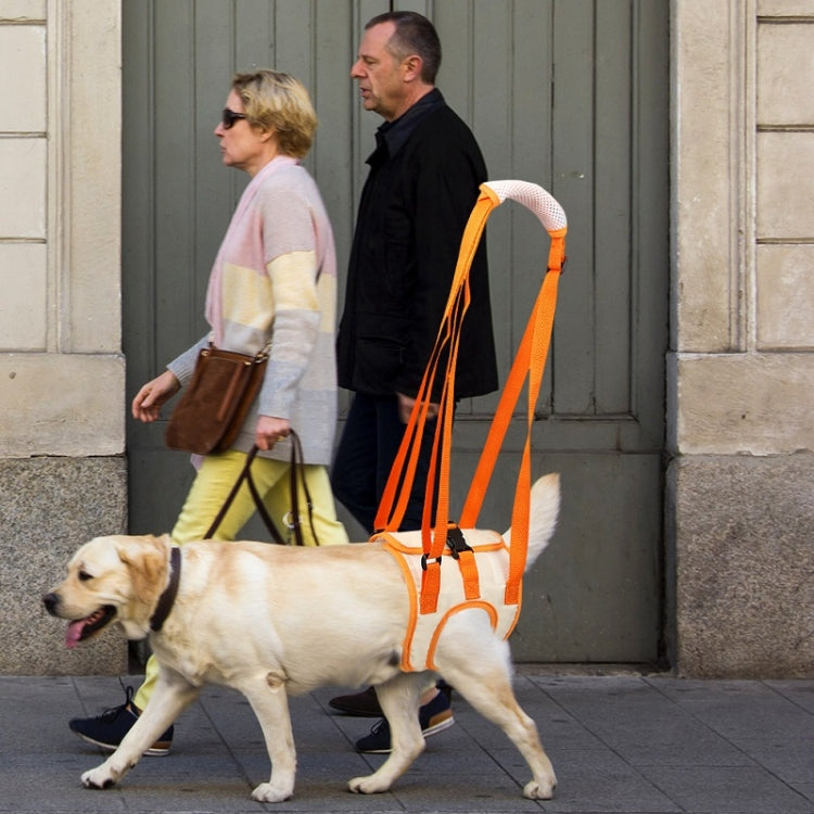 Pet Leash Assistive Belt For Postoperative Disabled Elderly Dogs Hind Legs M - Leashes by PMC TechLife | Online Shopping South Africa | PMC TechLife