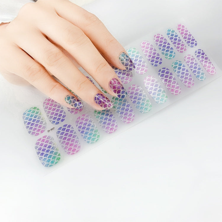 22 Fingers Shiny Onion Powder Starry Waterproof Nail Sticker(ZX-3029) - Nail Stickers by PMC Jewellery | Online Shopping South Africa | PMC Jewellery | Buy Now Pay Later Mobicred