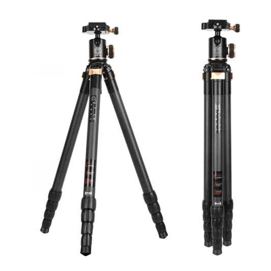 QingZhuangShiDai Q8805C CNC Camera SLR Carbon Fiber Tripod Without Central Axis(Black Gold) - Tripods by QingZhuangShiDai | Online Shopping South Africa | PMC Jewellery | Buy Now Pay Later Mobicred