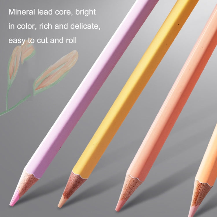24 Colors Oily Bright Color Pencil Studio Special Set Macaron - Art Supplies by PMC TechLife | Online Shopping South Africa | PMC TechLife | Buy Now Pay Later Mobicred