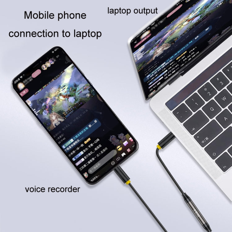 1m JINGHUA 3.5mm Cable Audio Conversion Microphone Two-way Transcriber - Audio Adapter by JINGHUA | Online Shopping South Africa | PMC TechLife | Buy Now Pay Later Mobicred