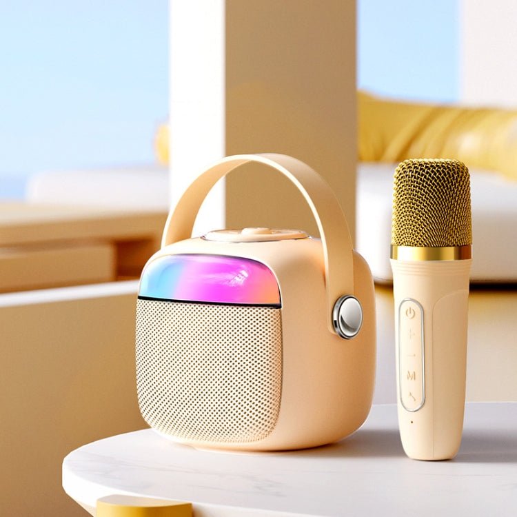 Havit P1 Portable Singing Home Wireless Bluetooth Speaker Microphone Set, Style: Dual-microphone - free shipping - PMC TechLife - Order now!