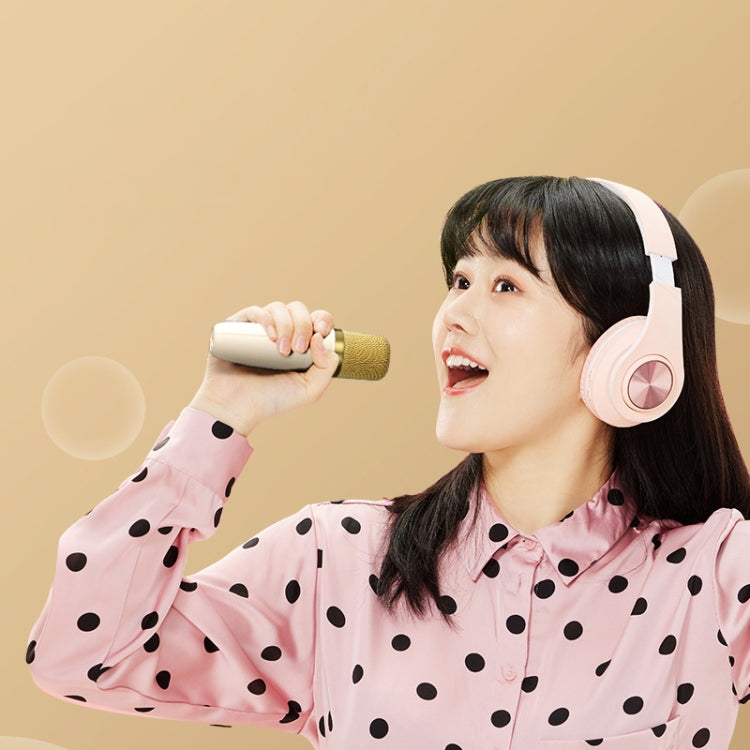 Havit P1 Portable Singing Home Wireless Bluetooth Speaker Microphone Set, Style: Dual-microphone - free shipping - PMC TechLife - Order now!