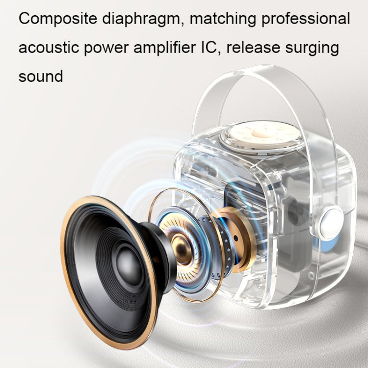 Havit P1 Portable Singing Home Wireless Bluetooth Speaker Microphone Set, Style: Dual-microphone - free shipping - PMC TechLife - Order now!