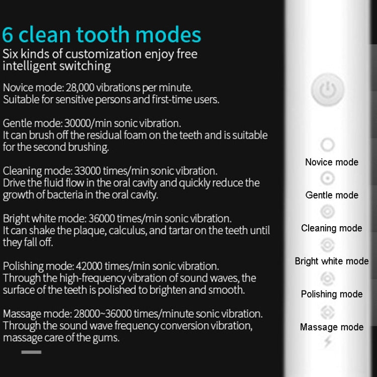 Rechargeable Ultrasonic Soft Bristle Electrical Toothbrushes Flosser 6 Gear With 4 Brushes(Black) - Toothbrushes by PMC Jewellery | Online Shopping South Africa | PMC Jewellery | Buy Now Pay Later Mobicred