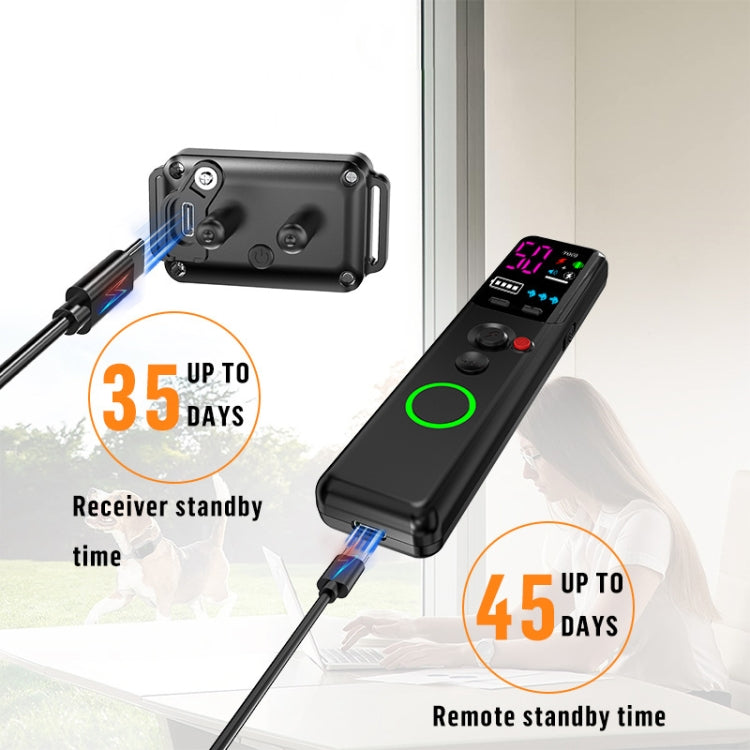 Color Screen Dragon Two Remote Control Pet Electric Shock Circular Dog Trainer(Black) - Training Aids by PMC TechLife | Online Shopping South Africa | PMC TechLife | Buy Now Pay Later Mobicred