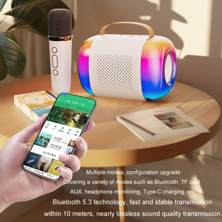 Y5 1 Microphone Portable Bluetooth Speaker Home And Outdoor Wireless Karaoke Audio(Pink) - Microphone by PMC TechLife | Online Shopping South Africa | PMC TechLife | Buy Now Pay Later Mobicred