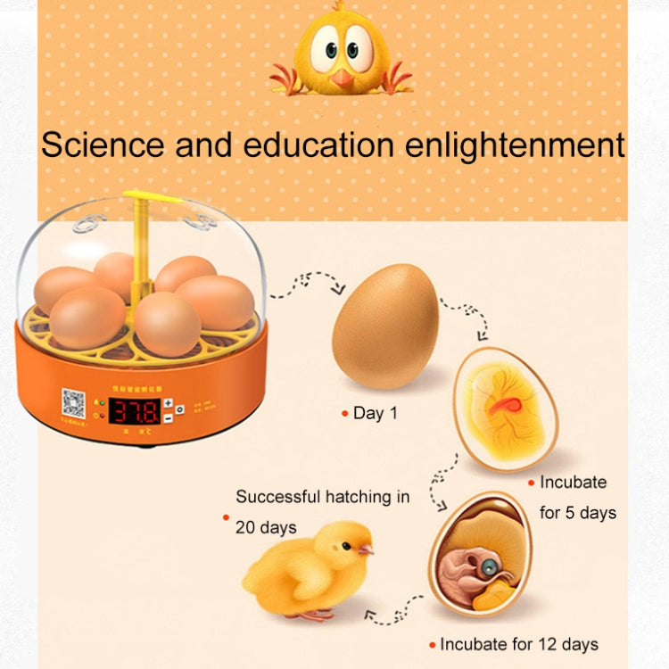 6-Eggs Small Household Experimental Children Smart Chicken Incubators, Spec: Automatic US Plug - Incubators by PMC TechLife | Online Shopping South Africa | PMC TechLife
