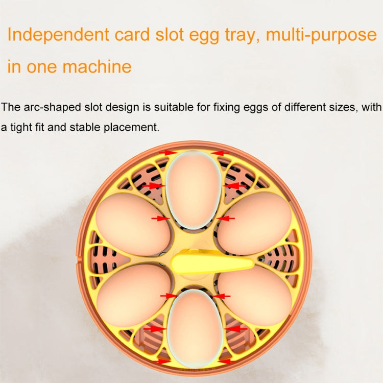 6-Eggs Small Household Experimental Children Smart Chicken Incubators, Spec: Dual-electric Automatic UK Plug - Incubators by PMC TechLife | Online Shopping South Africa | PMC TechLife
