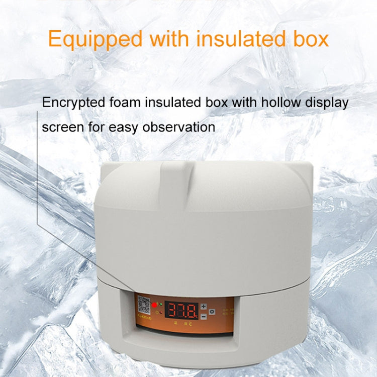 6-Eggs Small Household Experimental Children Smart Chicken Incubators, Spec: Automatic UK Plug - Incubators by PMC TechLife | Online Shopping South Africa | PMC TechLife