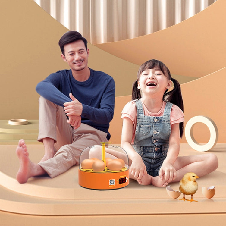 6-Eggs Small Household Experimental Children Smart Chicken Incubators, Spec: Dual-electric Automatic EU Plug - Incubators by PMC TechLife | Online Shopping South Africa | PMC TechLife