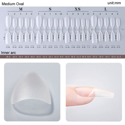 10pairs Of 100pcs/Box Frosted False Nails Artificial Tip, Shape: Long Ellipse XS - Nail Stickers by PMC Jewellery | Online Shopping South Africa | PMC Jewellery | Buy Now Pay Later Mobicred