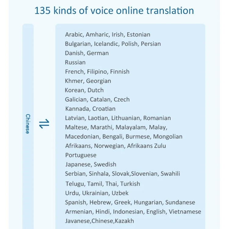 Hishell P40 Smart Translator 135 Languages Voice Intelligent Online Translation Machine Offline Multilanguage Speech Translate(Black) -  by Hishell | Online Shopping South Africa | PMC Jewellery | Buy Now Pay Later Mobicred