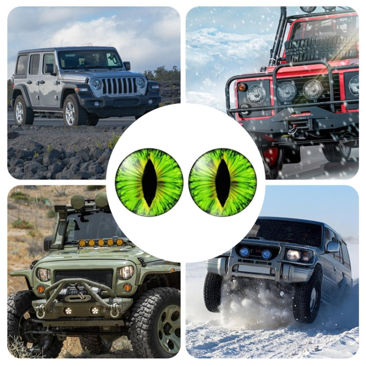 1pair Beast Eyes Headlight Decorative Stickers Off-Road Vehicle Front Lights Stereo Decals, Style: 29 - Lamp Decoration by PMC TechLife | Online Shopping South Africa | PMC TechLife | Buy Now Pay Later Mobicred