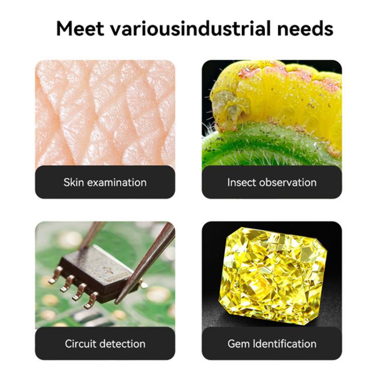 TBD06059531_B2.jpg@7cd8642a45309ee26fe95d62051ab3a1