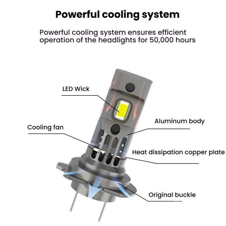 TBD06059965_B3.jpg@ba9ed03952cae2ca5896b8420c624a79