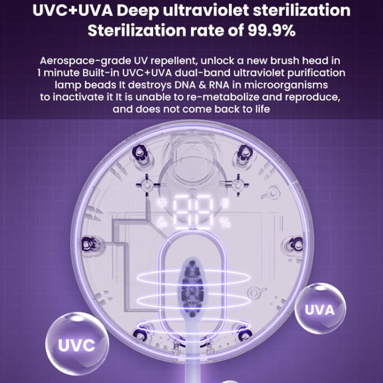 TBD06062230_B4.jpg@14989a2404182c4fa01640e84cce6c93